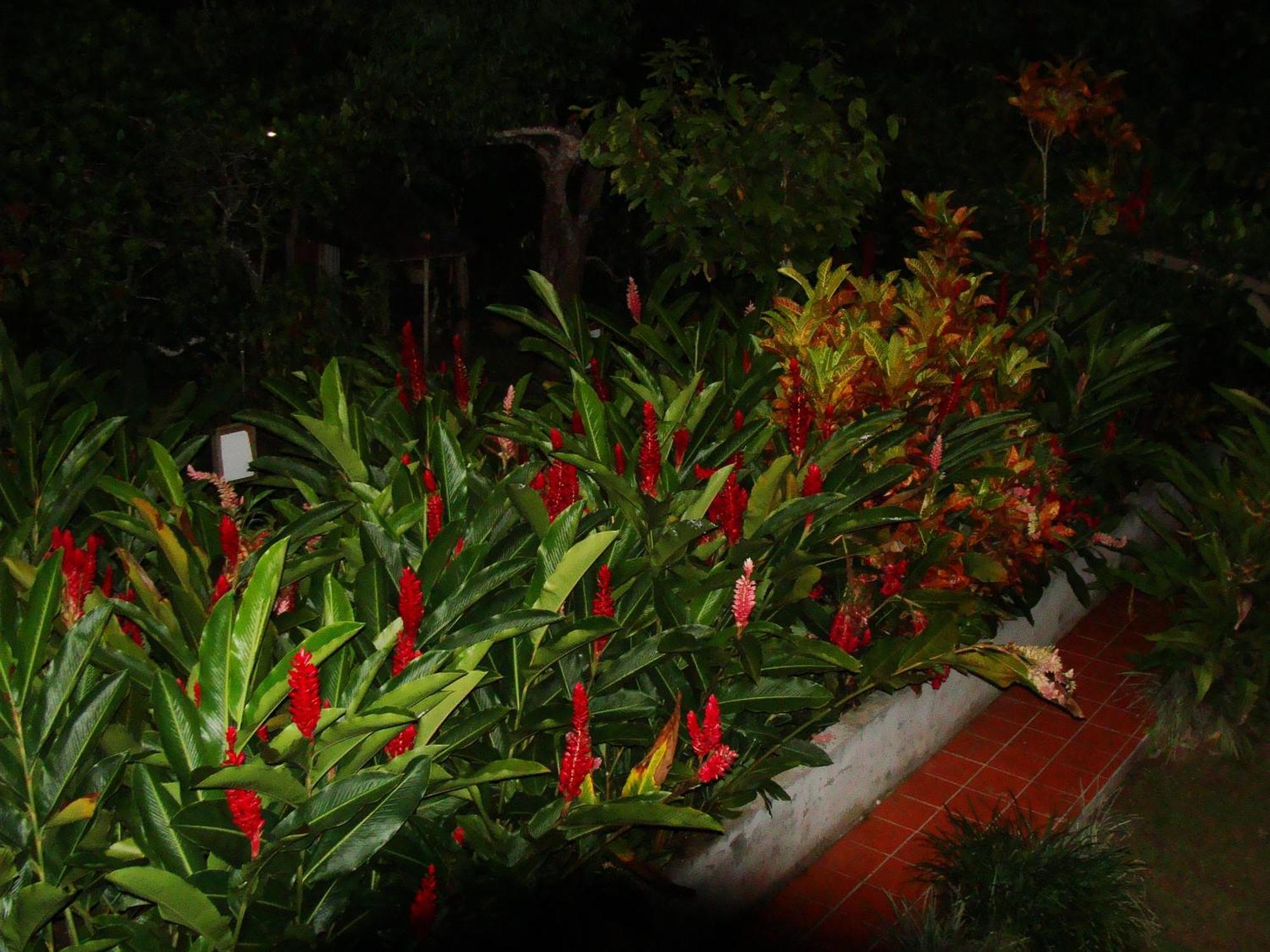 L'Ecomusee Creole De La Guadeloupe Sainte-Rose Exteriör bild