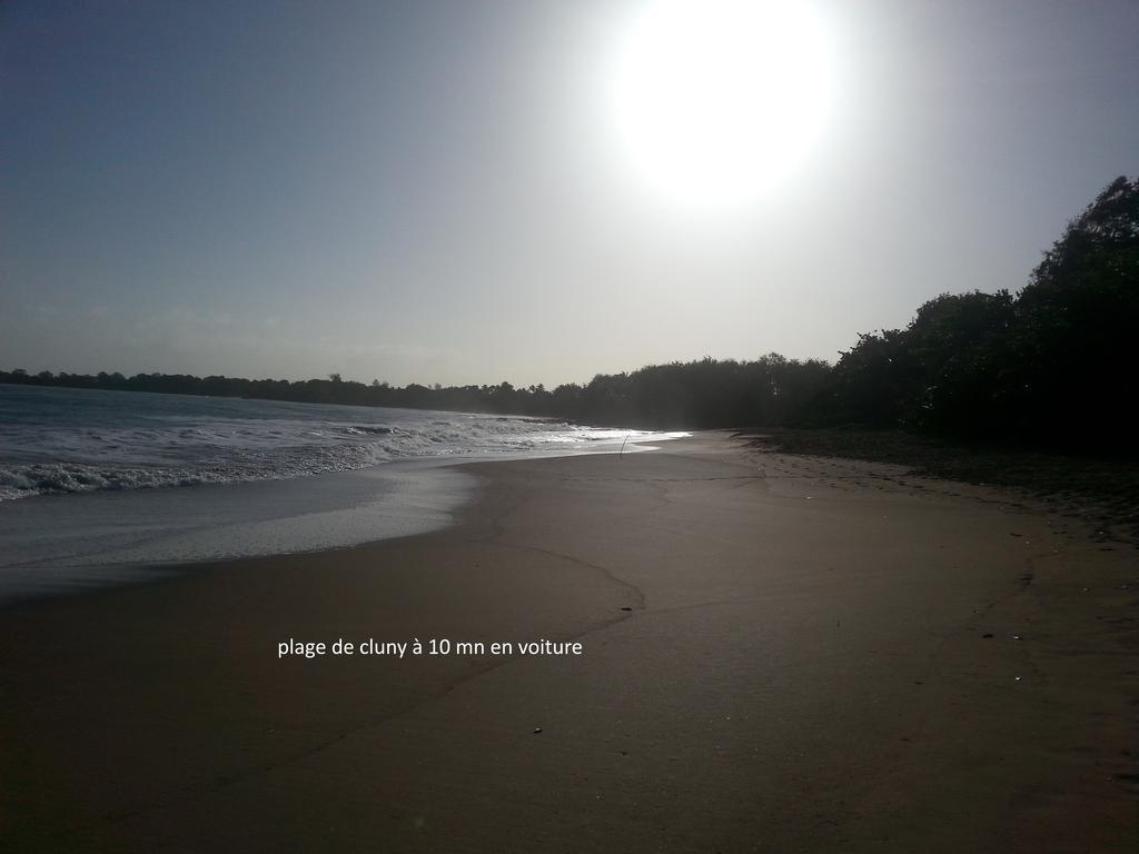 L'Ecomusee Creole De La Guadeloupe Sainte-Rose Exteriör bild